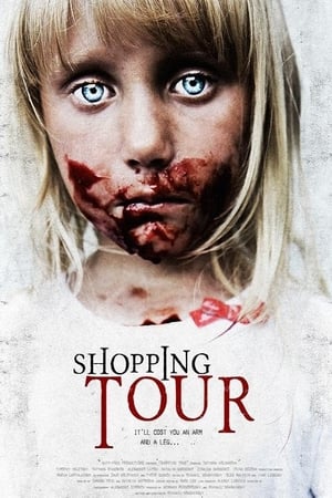 Poster Shopping Tour 2013
