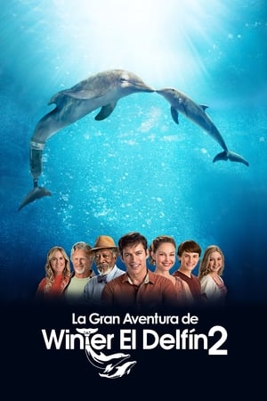 Poster La gran aventura de Winter el delfín 2 2014