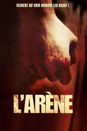 Poster L'Arène 2013