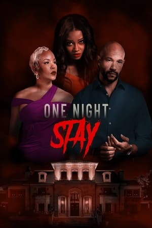 Poster One Night Stay 2024
