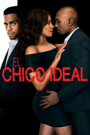 Poster El chico ideal 2015