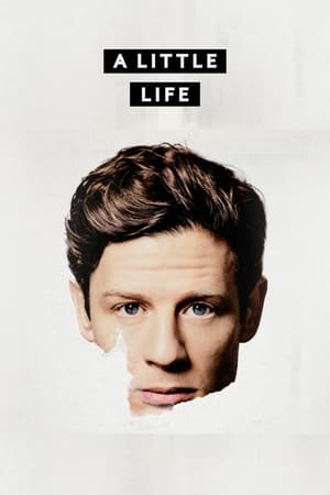 Poster A Little Life 2023