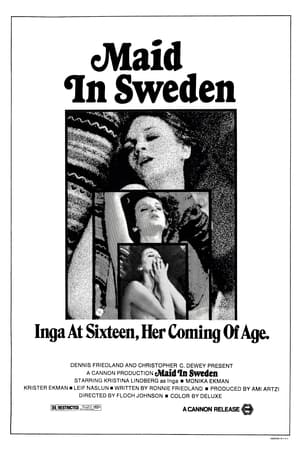 Poster Maid in Sweden 1971