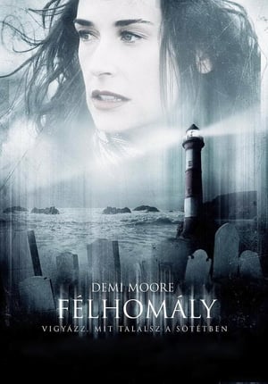 Poster Félhomály 2006