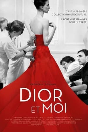 Poster Dior et moi 2015