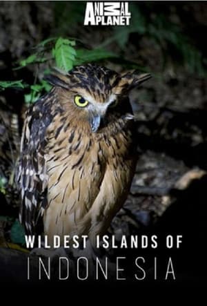 Poster Wildest Islands of Indonesia Season 1 Kingdom of Giants 2016
