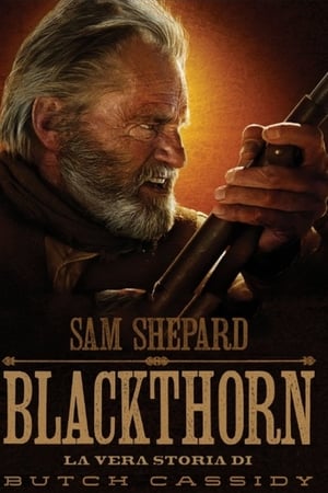 Poster Blackthorn - La vera storia di Butch Cassidy 2011