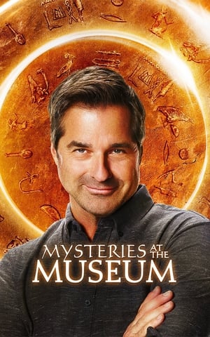 Poster Mysteries at the Museum Temporada 5 2013