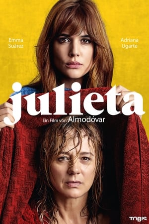 Poster Julieta 2016