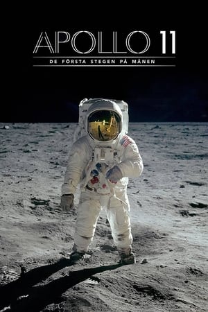 Image Apollo 11 - de första stegen på månen