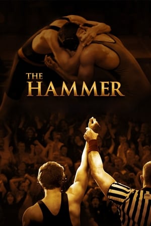 Poster Hamill 2010