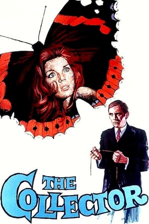 Poster The Collector 1965