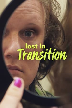 Poster Lost in Transition 2018