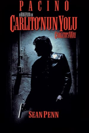 Poster Carlito'nun Yolu 1993