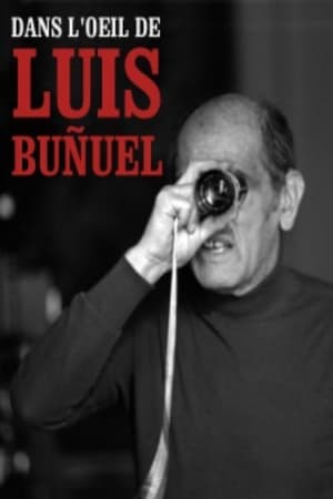 Image Dans l'œil de Luis Buñuel