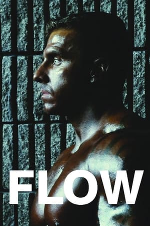 Poster Flow 2012