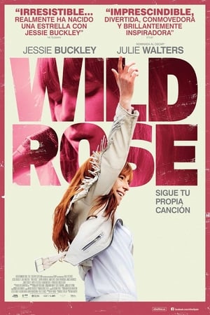 Poster Wild Rose 2019
