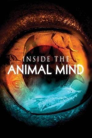 Poster Inside the Animal Mind 2014