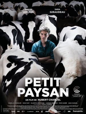 Poster Petit Paysan 2017