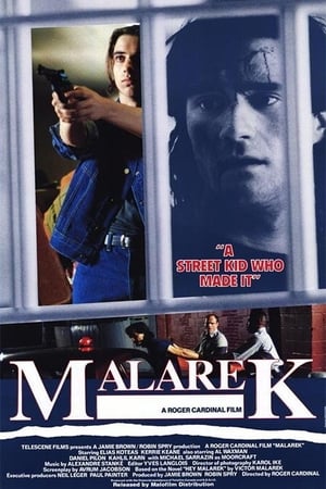 Poster Malarek 1988