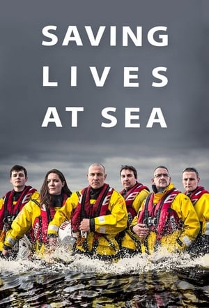 Poster Saving Lives at Sea 2016
