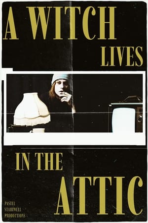 Image A Witch Lives In the Attic