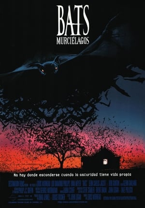 Poster Bats (Murciélagos) 1999