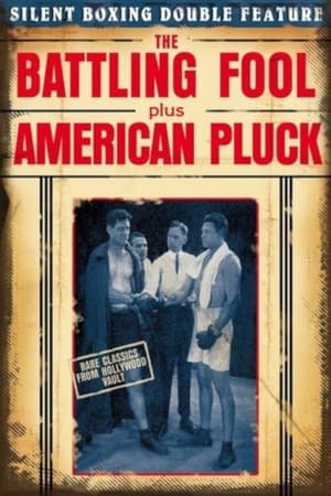 Poster The Battling Fool 1924