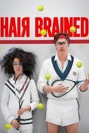 Poster Hairbrained 2013