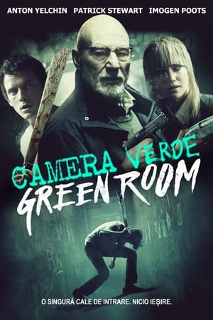 Poster Camera verde 2016