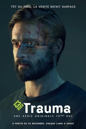 Poster Trauma 2019