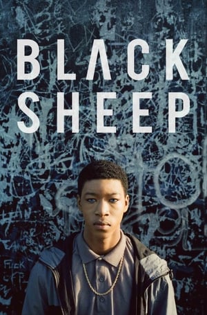 Poster Black Sheep 2018