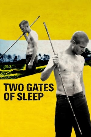 Poster Two Gates of Sleep 2010
