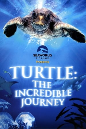 Poster Turtle: The Incredible Journey 2009