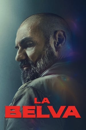 Poster La Belva 2020