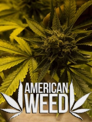 Image American Weed