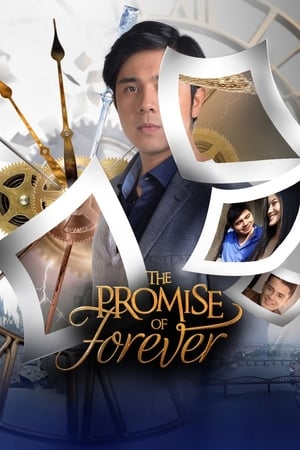 Poster The Promise of Forever Musim ke 1 2017