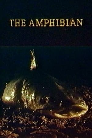 Poster The Amphibian 1991