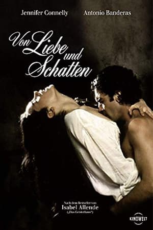 Poster Von Liebe und Schatten 1994