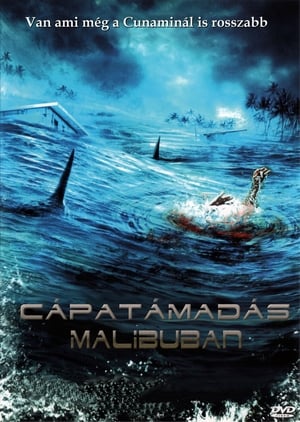 Poster Cápatámadás Malibun 2009