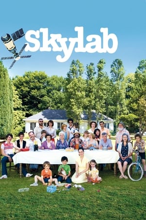 Poster Le Skylab 2011