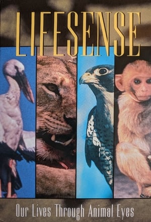 Poster Lifesense 1991