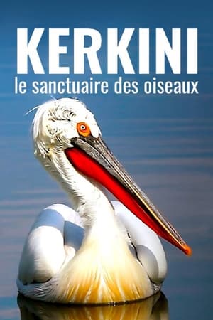 Poster Kerkini, le sanctuaire des oiseaux 2021