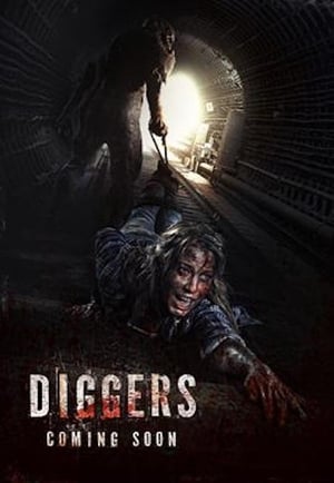Poster Diggers 2016