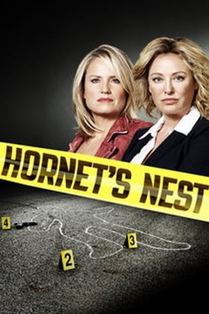 Poster Hornet's Nest 2012