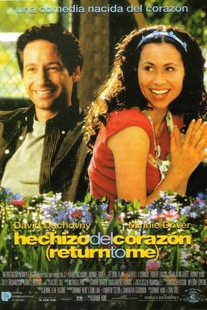 Poster Hechizo del corazón 2000