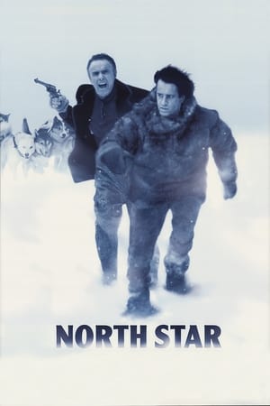 Poster Duello tra i ghiacci 1996