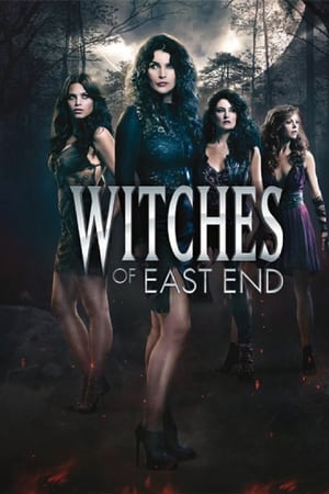 Poster Witches of East End 2013