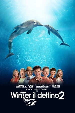 Image L'incredibile storia di Winter il delfino 2