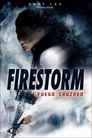 Poster Firestorm: fuego cruzado 2013